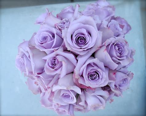 The Flower Girl Blog: lavender roses