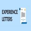 Experience Letter Blogger S Tale