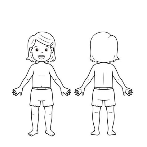 Human Body Outline Front Back Cartoons Illustrations Royalty Free