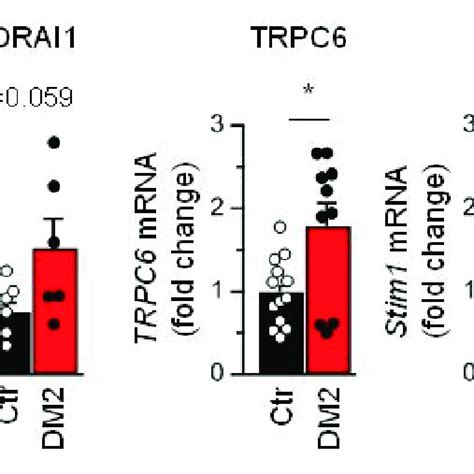 Diabetes Leads To The Increase In Trpc Mrna Expression Level Shown