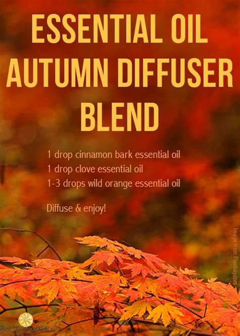 doTERRA Fall Diffuser Blends with Wonderful Recipes - Best Essential ...