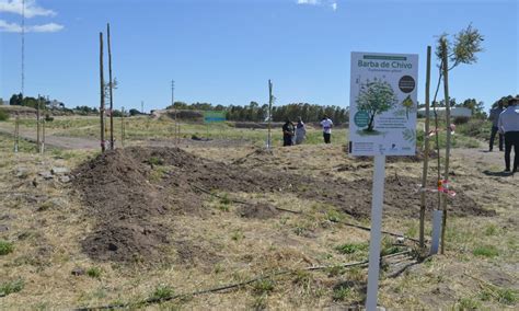 Gay recorrió el parque que llevará un nombre elegido por los bahienses La Brújula