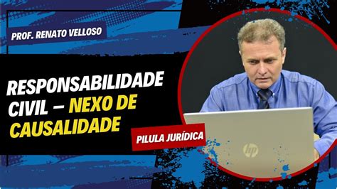 P Lula Jur Dica Responsabilidade Civil Nexo De Causalidade Prof