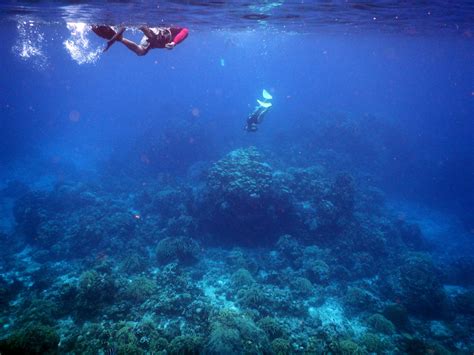 Cozumel. Colombia Profundo Reef, Cozumel. Extraordinario
