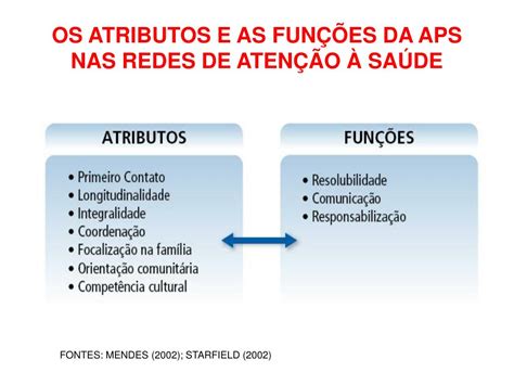 São Atributos Essenciais Da Aps Exceto