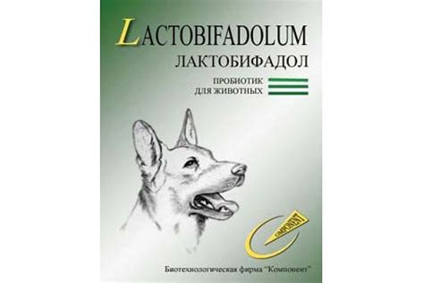 Лактобифадол для собак: инструкция и показания к применению, цена, отзывы