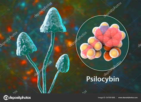 Psilocybin Mushrooms Illustration Commonly Known Magic Mushrooms Group