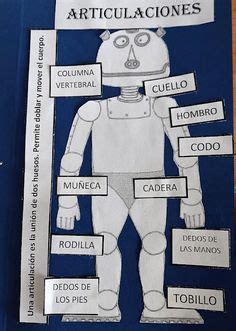 Ideas De Lapbook Plantillas Lapbook Plantillas Cuadernos