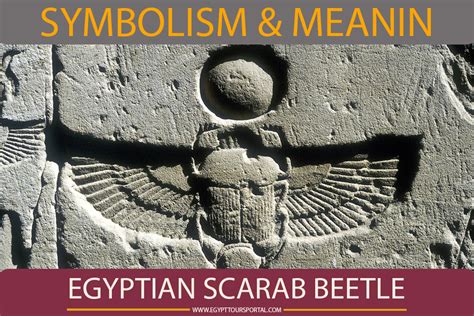 Egyptian Scarab Beetle - Ancient Egyptian Symbols - Egyptian Scarab Beetle Facts