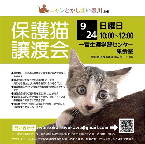 924日保護猫譲渡会を開催します ニャンとかしまい豊川 活動ブログ