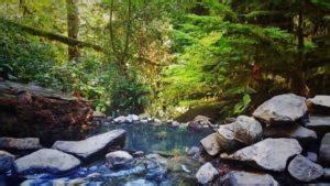 Everything You Need To Know About Visiting Nude Hot Springs Follow Me Away