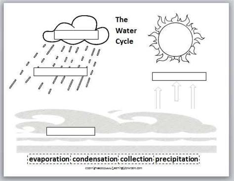 Student Exploration Water Cycle Worksheet Answer Key Kidsworksheetfun