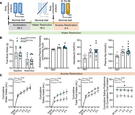 Genetic Deletion Of β Arrestin 2 From The Subfornical Organ And Other