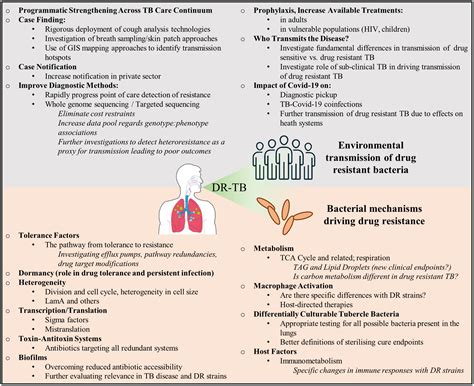 Frontiers Clinically Encountered Growth Phenotypes Of , 56% OFF