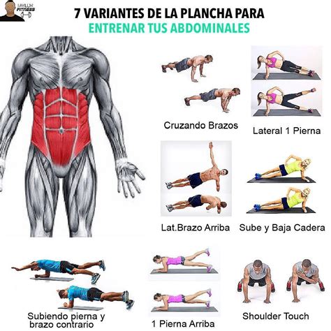 🔷 7 Variantes De La Plancha Para Trabajar Tus Abdominales🔷 Además De