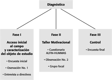 Fases Que Integran El Diagnóstico Download Scientific Diagram