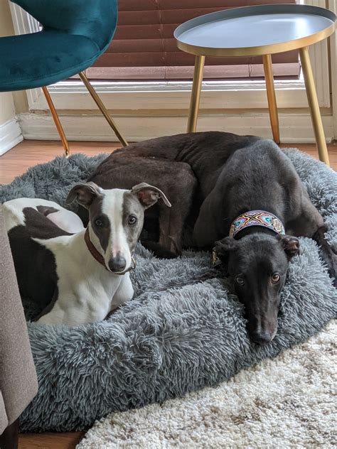 hiking spots in chattanooga? : r/Chattanooga