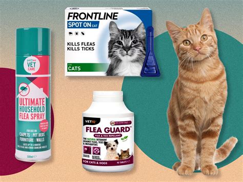 Best Flea Treatment For Cats 2023 Vet Recommended Spot On And Oral