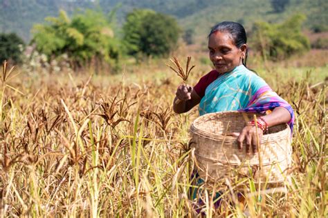 From Disaster To Development Exploring Rural Livelihoods Inter Actions