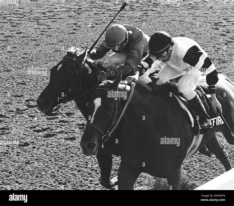 File In This June 10 1978 File Photo Affirmed Steve Cauthen Up