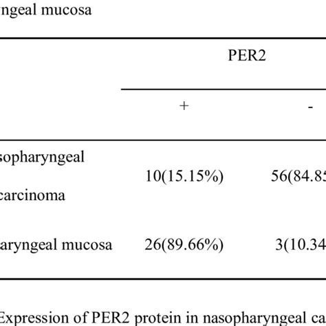 Expression Of Per2 Protein In Nasopharyngeal Carcinoma And Download Scientific Diagram