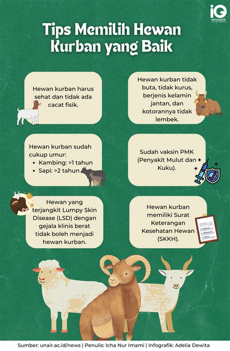 Infografik Tips Memilih Hewan Kurban Yang Baik