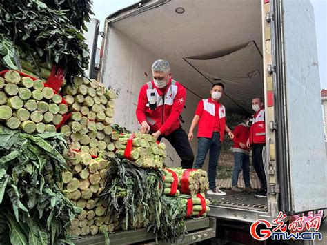 一起守“沪” 再出发！又一批爱心蔬菜驰援上海 界面新闻 · 中国