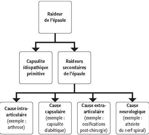 La Capsulite R Tractile De L Paule Mise Au Point En Revue
