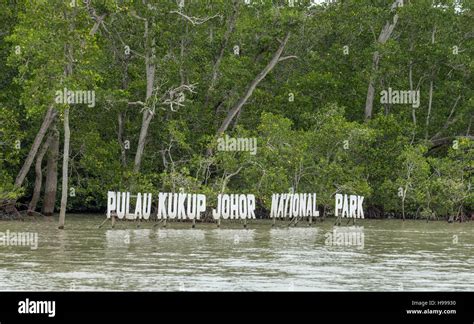 Mangroves in Kukup National Park, Johor, Malaysia Stock Photo - Alamy