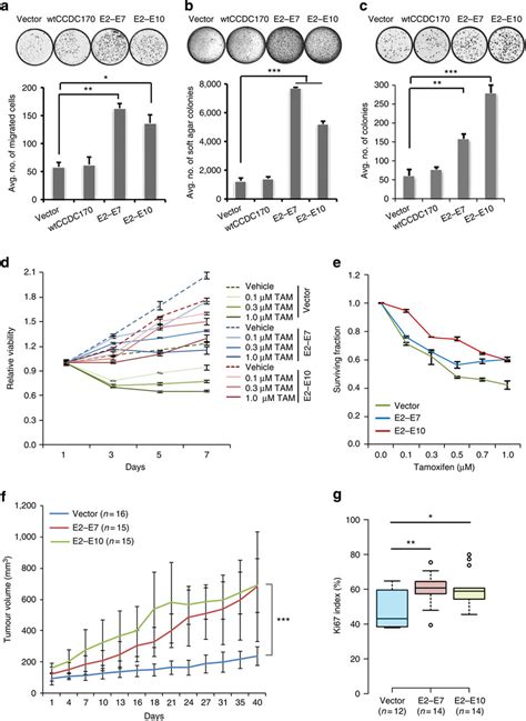 Esr Ccdc Endows More Aggressive Phenotypes In T D Er Breast