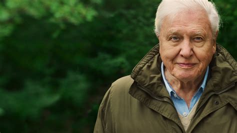 Watch David Attenborough A Life On Our Planet Netflix Official Site