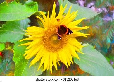 Sunflower Butterfly Background Label Sticker Wallpaper Stock Illustration 313205168 | Shutterstock