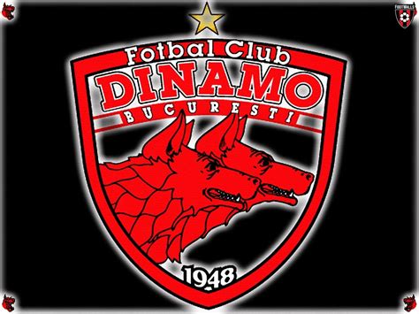 Download Dinamo Bucuresti Wallpaper Fc Dinamo București Wallpapertip