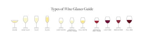 Types of Wine Glasses - The Wine Cellarage