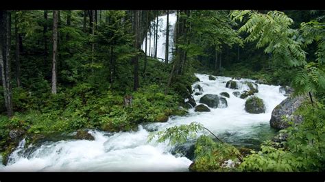 Roaring Waterfall Ambient Noise For Sleep Studying Youtube