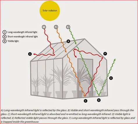 The Urban Farmsteader Properties Of Glass Greenhouse Application