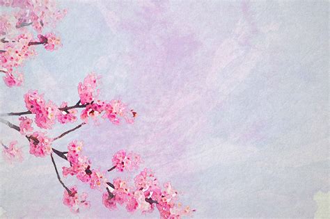 25+ Cherry Blossom Watercolor Inspirations to Dream About ...