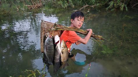 FULL VIDEO 25days Highland Boy Khai Traps Fish Harvests Soft Shell