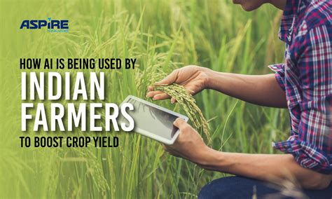 How AI Is Being Used By Indian Farmers To Boost Crop Yield