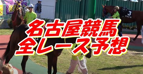 🎯無料公開🎯1014水 名古屋競馬 全レース予想 指数印｜競馬グラフ 完全データ予想