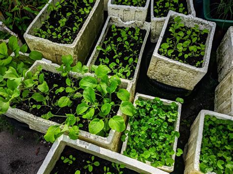 Compostez Chez Vous Comment Faire Un Compost De Qualit Pour