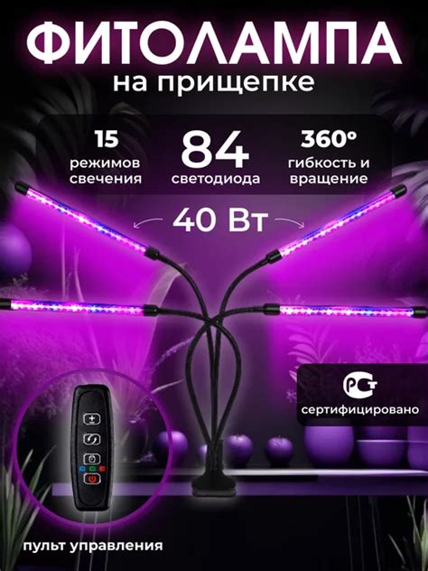 Wildberries — интернет-магазин модной одежды, обуви и аксессуаров