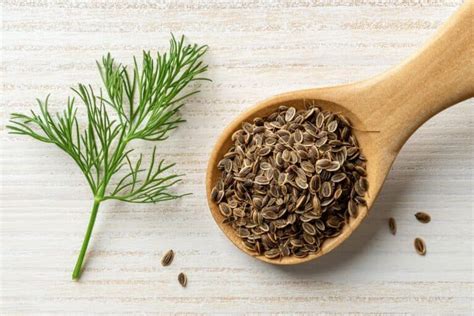 11 Best Substitutes For Caraway Seeds