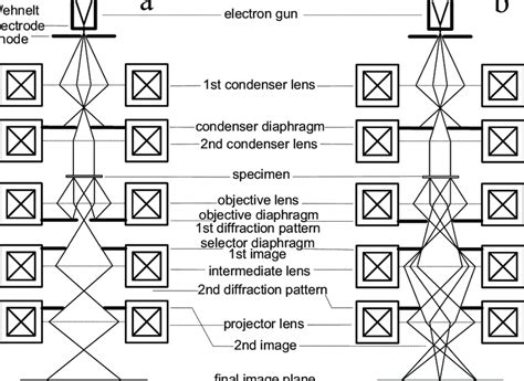 1 Schematic Ray Path In An Tem In A Bright Field Imaging Mode And B