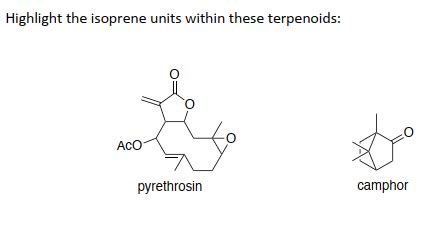 Solved Highlight the isoprene units within these terpenoids: | Chegg.com