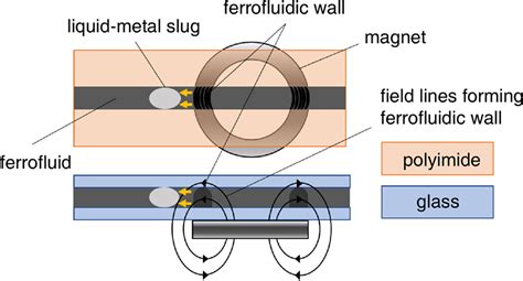 Ferrofluidic Actuation Of Liquid Metal For Radiofrequency Applications