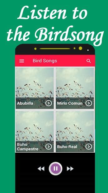 bird songs and calls bird songs identification APK for Android Download