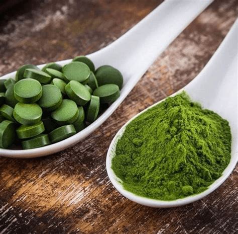 Alga Chlorella propiedades beneficios contraindicaciones y cómo