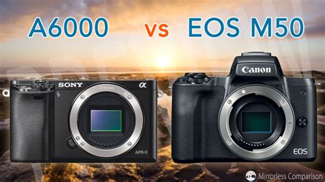 Sony A6000 Vs Canon M50 Here S How To Make Your Choice