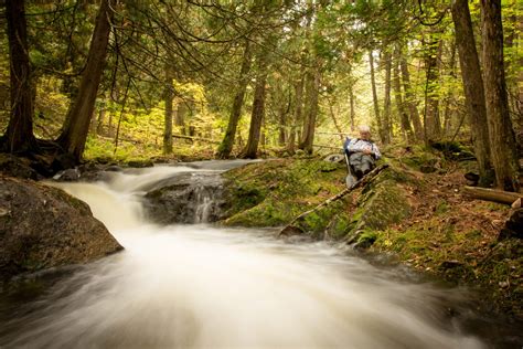Honoring Those Who’ve Paddled With Us: Memories from the Boundary
